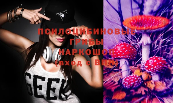 бошки Заводоуковск