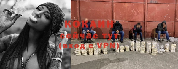 бошки Заводоуковск