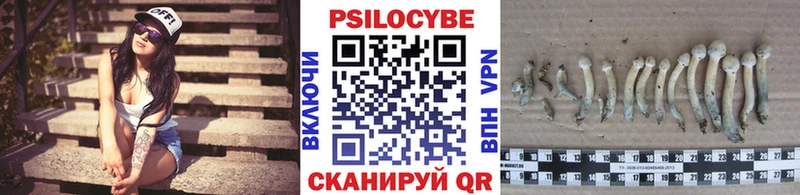 Купить где  Железноводск  Псилоцибиновые грибы мицелий 