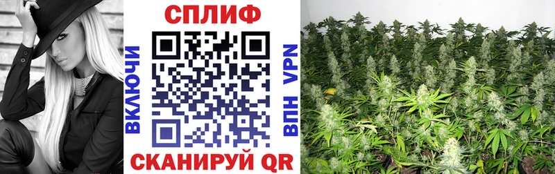 Купить где  Железноводск  Бошки марихуана гибрид 